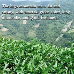 Milk Oolong Tea Super High Mountain Fragrant Green Tea Diet Tea CN Health Care