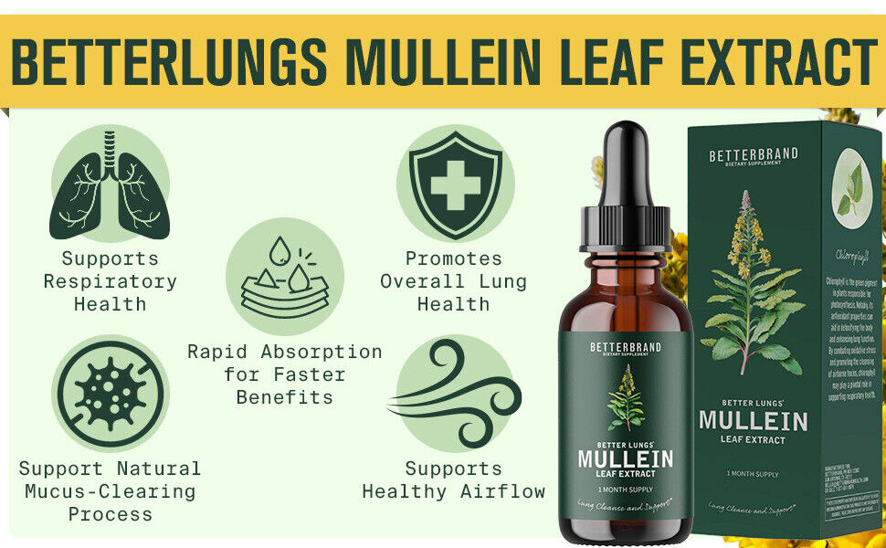 Mullein Leaf Extract Drops All-Natural Health Care Ingredients