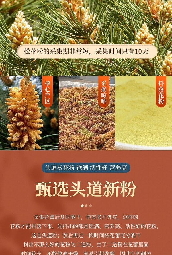 TongRenTang Pine Pollen Meal Replacement Powder Drinking Headway New Powder 80g