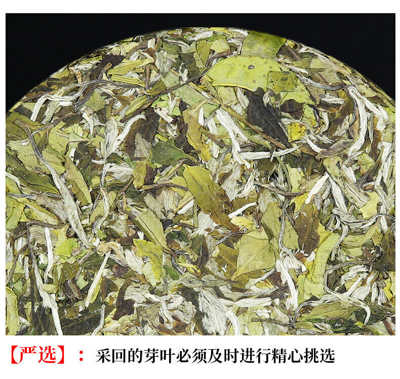 2025 Fuding New White Tea Flower Aroma Bai Mu Dan Cake High Mountain Spring Buds