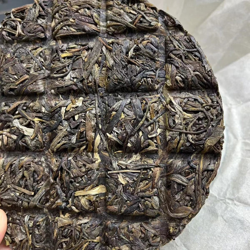 Pasha Big Tree Spring Tea Raw Tea Cake 100g