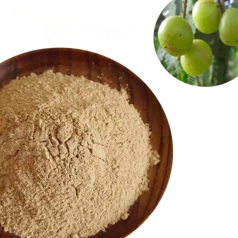 Organic Amla Powder- Amla Powder for Hair Growth (Indian Gooseberry) - 17.6 OZ Secondary image