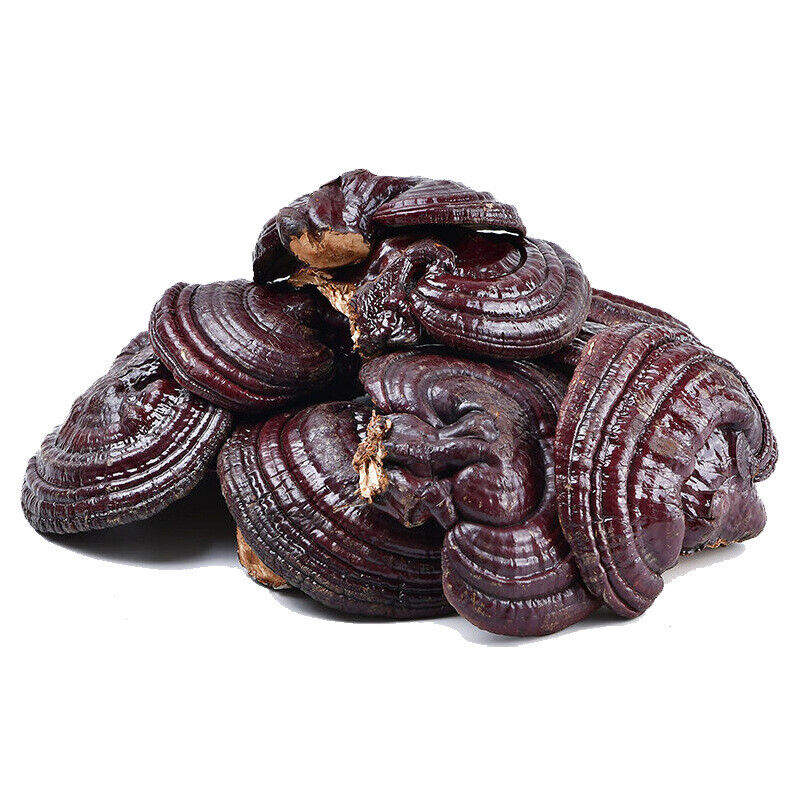 Ganoderma Lucidum Tablets In Tea and Soup Changbaishan Wildlife Infusion Tea Secondary image