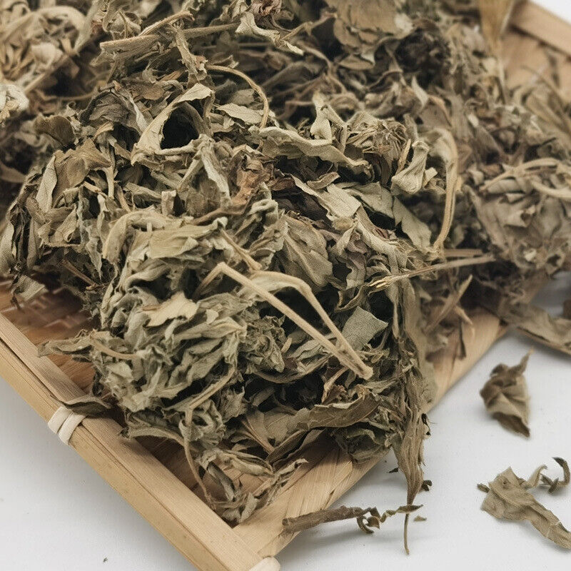 HelloYoung Big Mugwort Leaf Mugwort Leaf Fresh Mugwort Leaf Produce Mugwort Herb 500g/1.1lb