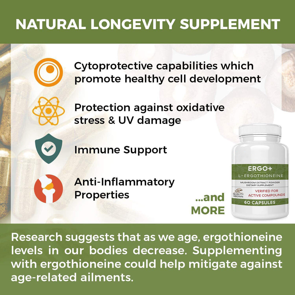 ERGO+ L-Ergothioneine Oyster Mushroom Capsule Supplement 60 Capsules