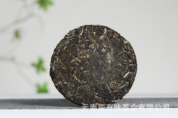 Pasha Small Cake 100g 2021 Big Tree Tea Puerh Raw Cake Yunnan Puerh Tea