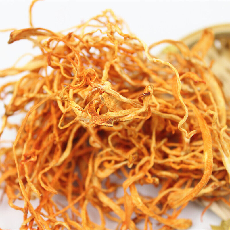 Chinese Herbal Medicine Dry Cordyceps Flower Chong Cao Herb Food Healthy Drink Main image
