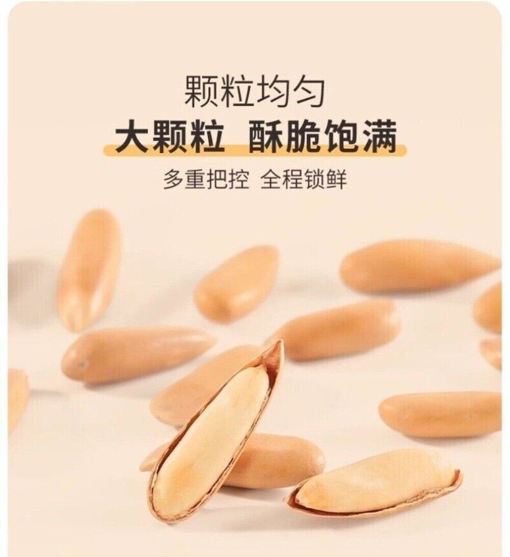 2024 Harvest Premium Pine Nuts Jumbo Size Healthy Natural Handpicked Snack