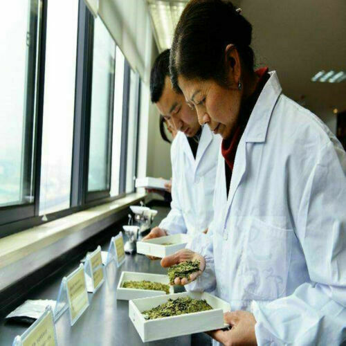 HelloYoung Anti Radiation Organic Food Fuding Shoumei Old Tree Tea Classical White Tea 250g