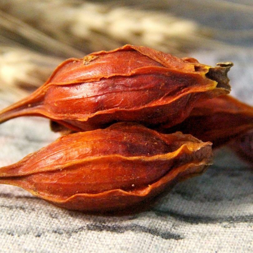 HelloYoung Natural Cape Jasmine Fruit Gardenia Zhi Zi 100% Chinese Ecology Herbs Particles