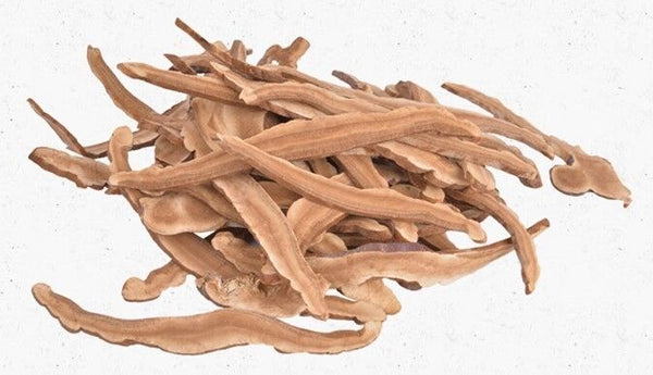 Organic Wild Reishi Mushroom 250g Ganoderma Lucidum Premium Chinese Herbal