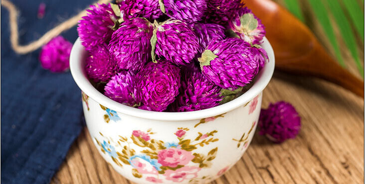 Traditional Preserved Flower Tea Flos Gomphrena Globosa Flower Tea Green Tea