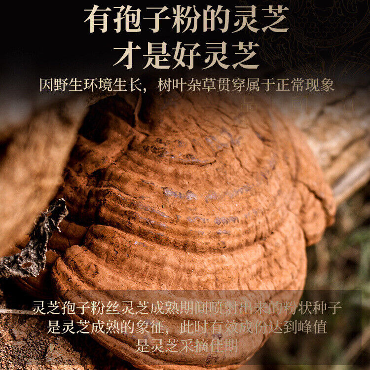 Ganoderma Lucidum Tablets In Tea and Soup Changbaishan Wildlife Infusion Tea