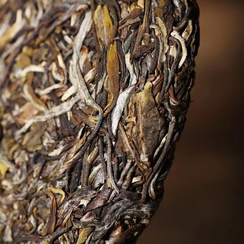 HelloYoung Yunnan Tea Yiwu One Fan Mill 357g Gushu Pu'er Raw Tea Cake