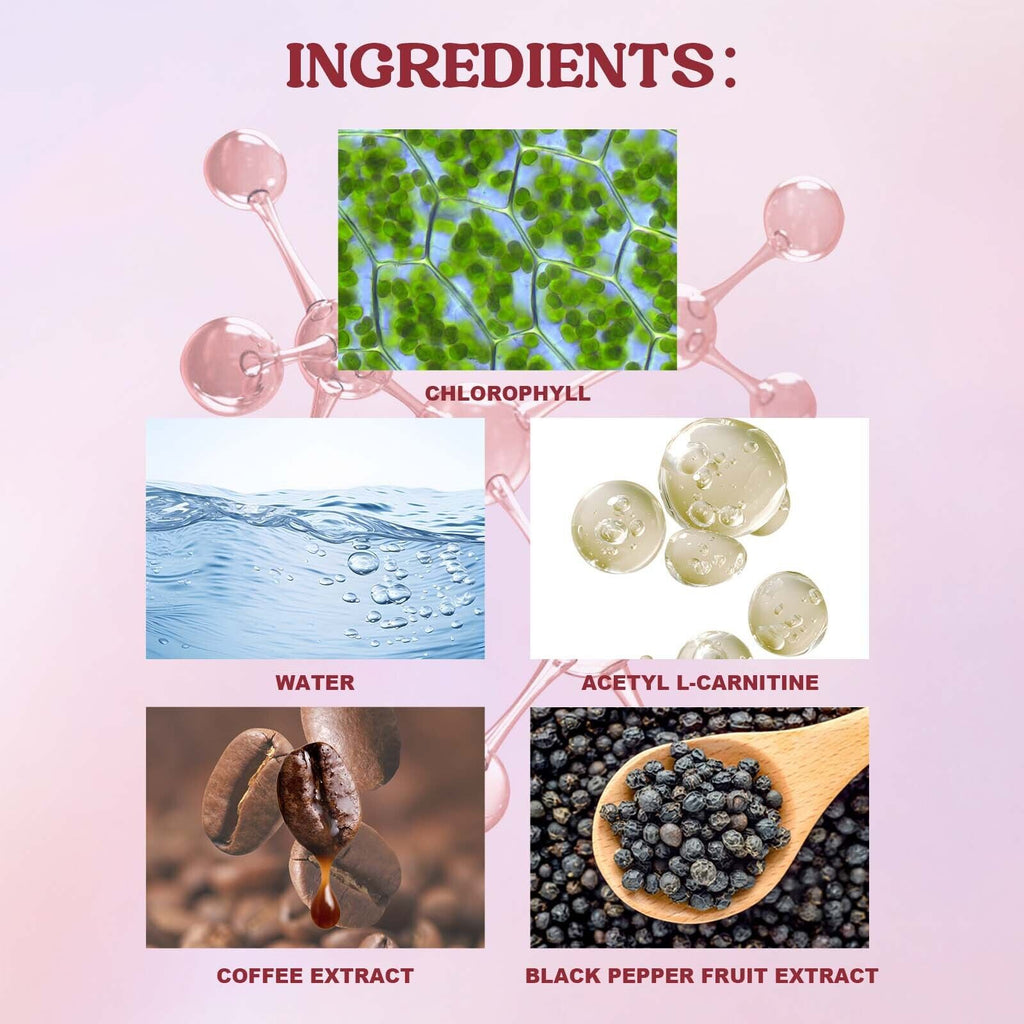Healthcare Drops for Blood Lipid & Sugar Balance - Body Nutrition Support