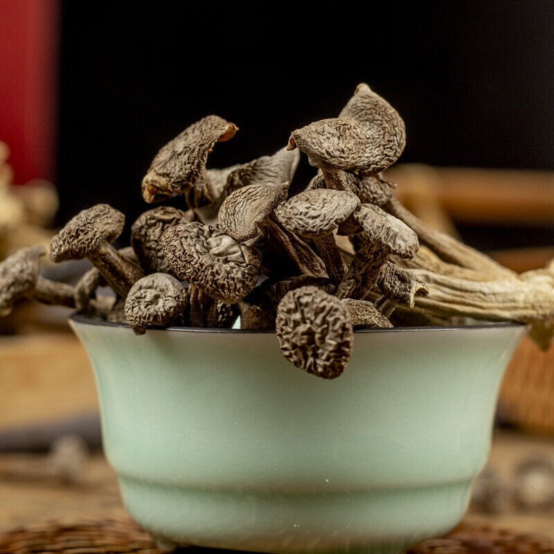 50g Deer Antler Mushroom: Fresh Crispy, Perfect for Soup