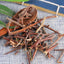 HelloYoung Chinese Specialty Original Natural Herbal Zaojiaoci 250g /500g 皂角刺