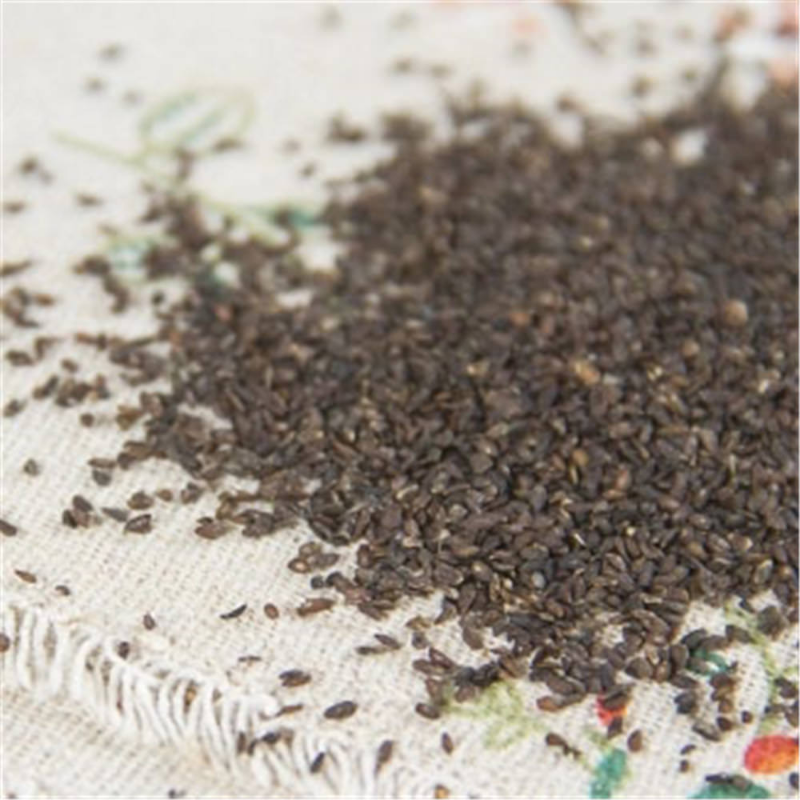 HelloYoung 250g Plantago Asiatica Seed 车前子 Che Qian Zi Plantain Seed Psyllium Seed Natural Secondary image