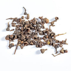 Dried Japanese cinnamon fruit, Fructus Cinnamomi Japonici, Fruit of Cinnamon