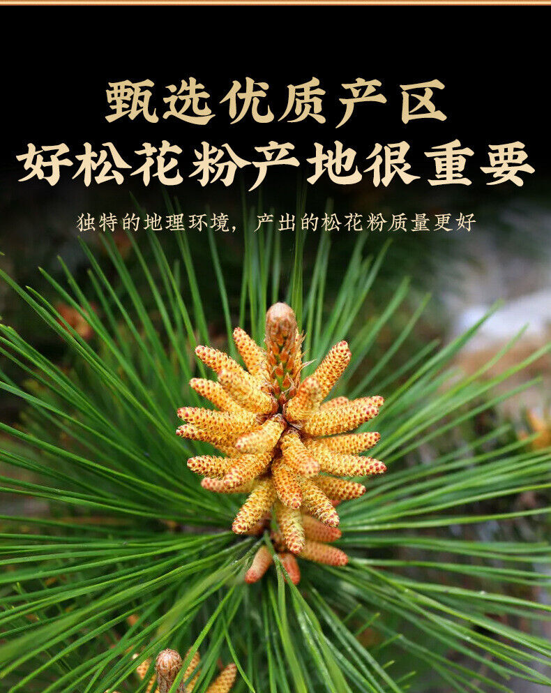 Pine Pollen Raw Pollen Pine Pollen New Powder Headway Powder Produce 100g