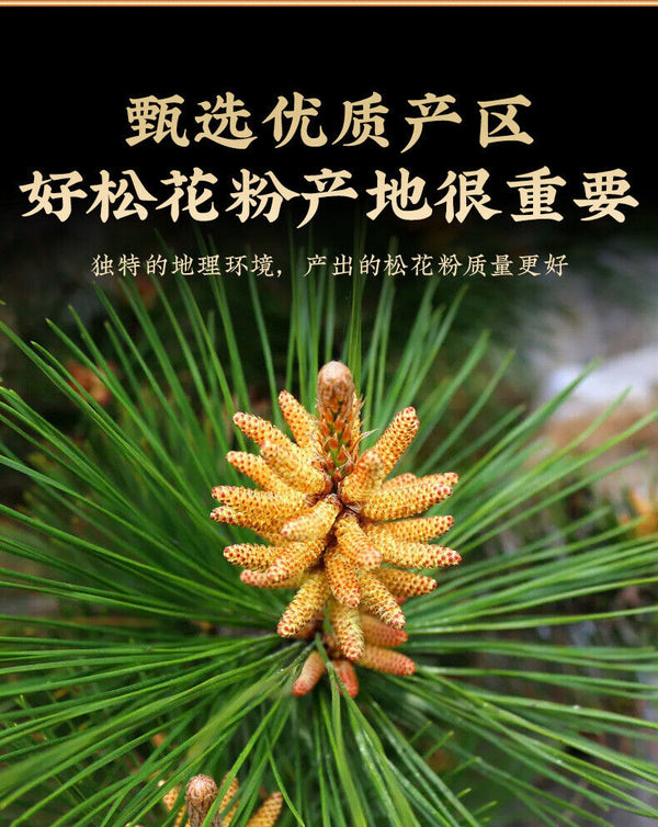 Pine Pollen Raw Pollen Pine Pollen New Powder Headway Powder Produce 100g