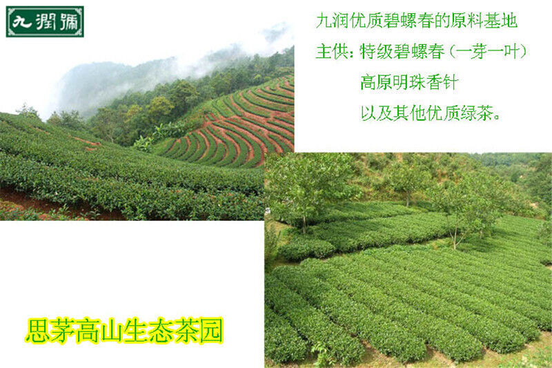 HelloYoung 100g High Quality Green Tea Chinese Top Grade Biluochun Tea Health Tea Flowering