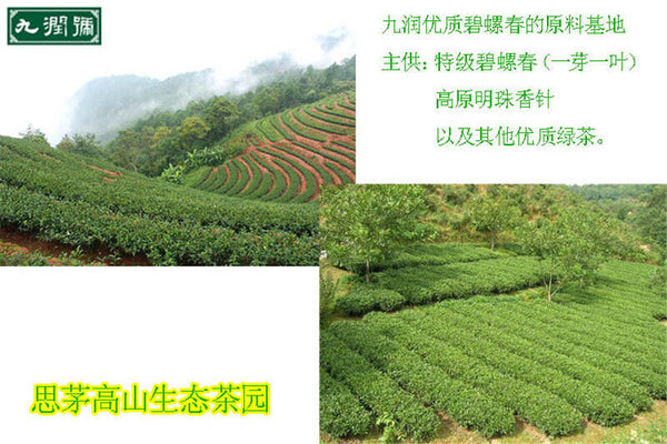 HelloYoung 100g High Quality Green Tea Chinese Top Grade Biluochun Tea Health Tea Flowering