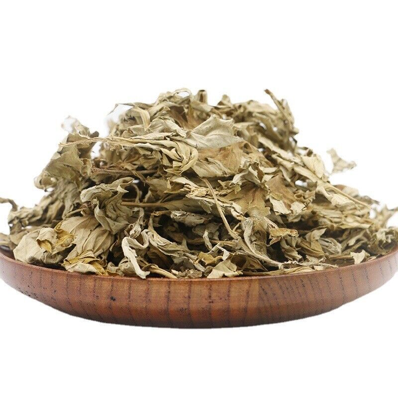HelloYoung Big Mugwort Leaf Mugwort Leaf Fresh Mugwort Leaf Produce Mugwort Herb 500g/1.1lb Main image