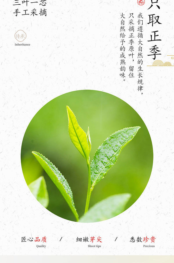 Fenggang Zinc Selenium Green Tea250g High Aroma Guizhou Cloud Mist Strong Flavor