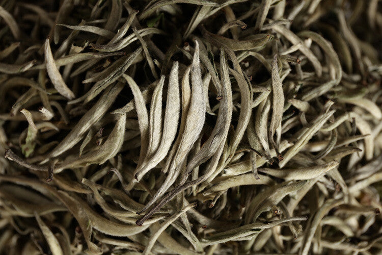 2024 Premium  Yunnan Pu'er Raw Baihao Yinzhen White Tea Loose Leaf 500g