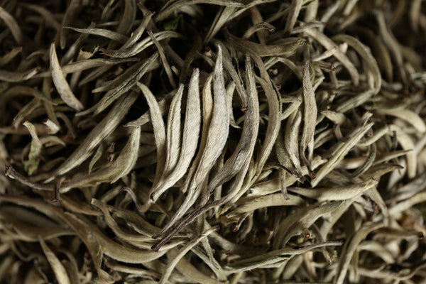 2024 Premium  Yunnan Pu'er Raw Baihao Yinzhen White Tea Loose Leaf 500g