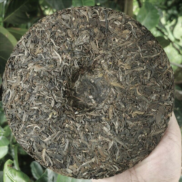 HelloYoung Chinese Zhonghong Yin Ma Hei Ancient Tree Pu'er Tea High Quality Tea 357g