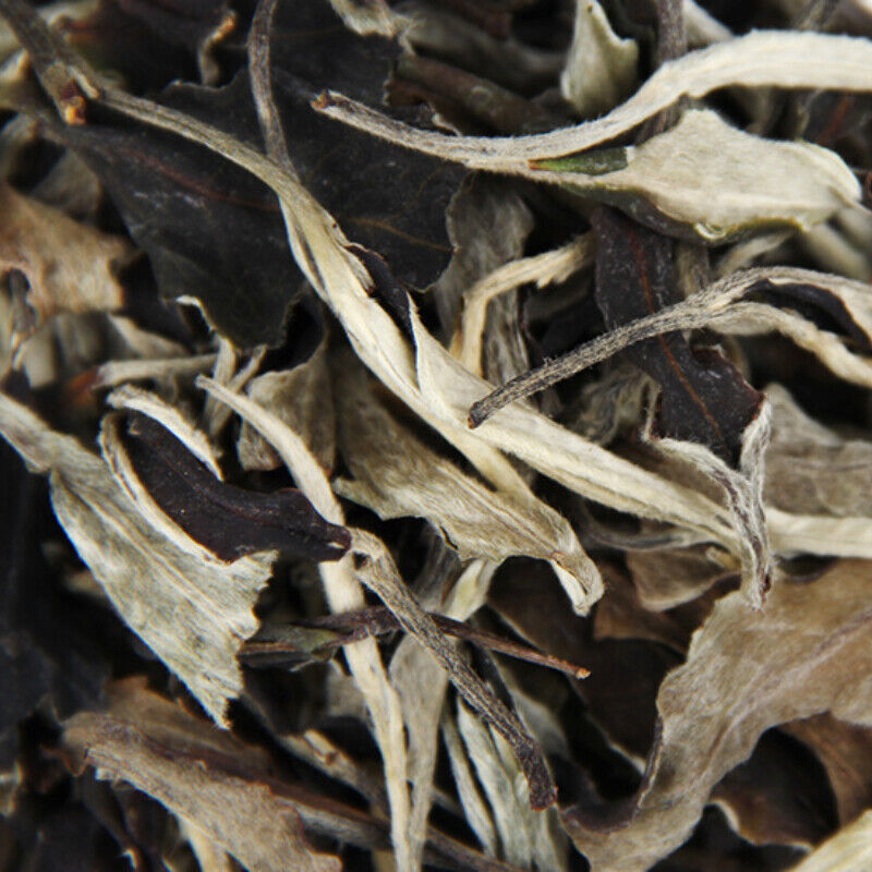 HelloYoung 500g Highly Recommended Moonlight White Pu'er Raw Tea Top Loose Leaf Pu-Erh Tea