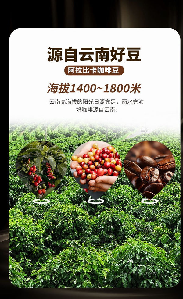 Premium Dark Coffee Powder – Strong Brew for Cafés & Hotels