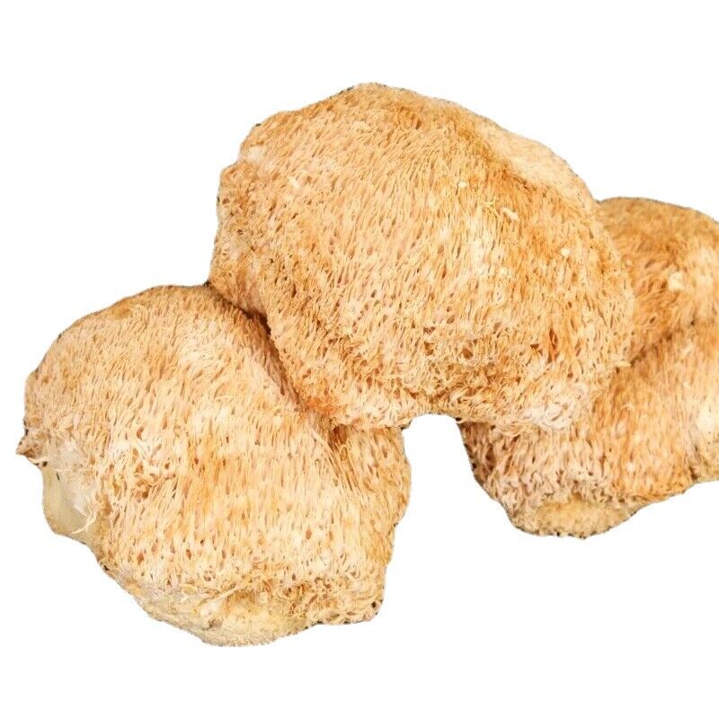 HelloYoung 100% Organic Dried Lion's Mane Mushroom Chinese Herbs 17.6oz Main image