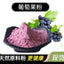 Pure Organic Grape Powder Concentrated Powder Solid Beverage Fruit Powder