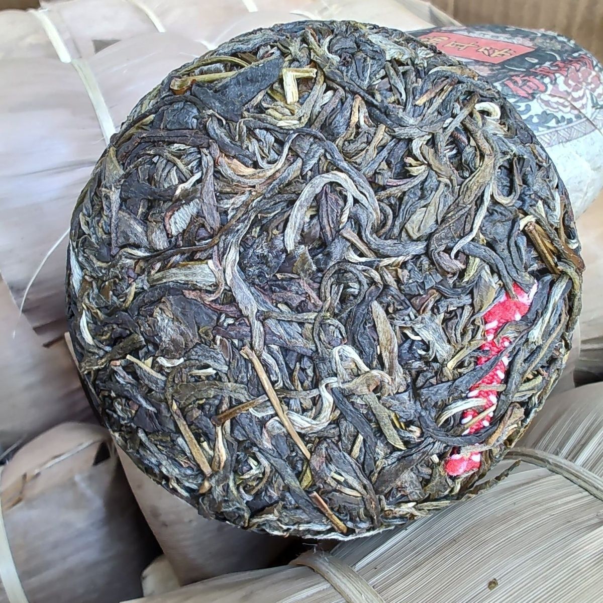 2019 Yibang Cat Ear First Flush Yunnan Pu'er Tea 200g Tuo Ancient Tree Raw Tea