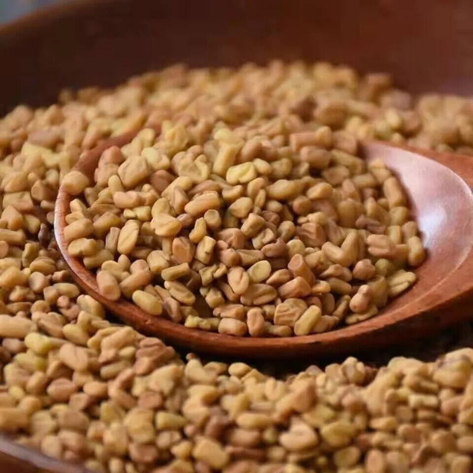 FENUGREEK SEED PREMIUM HARVEST HERB TEA 250g Trigonella foenum graecum dried Secondary image