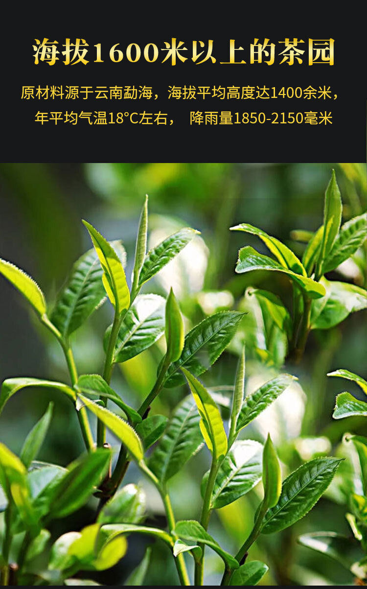 HelloYoung 250g Menghai early spring honey fragrance Dian Hong tea leaves bagged black tea