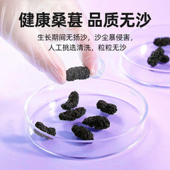 HelloYoung 200g Dried Black Mulberries No Sand Premium Grade Sweet and Fragrant