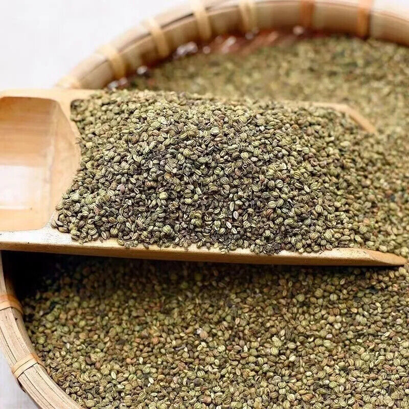 HELLOYOUNG  Dried Dill Seed Main image