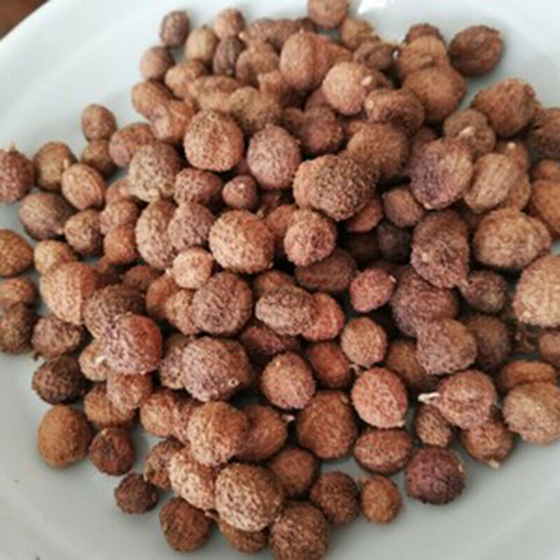 HelloYoung 100g Chun Sha Ren Spring Sandnut Dried Fruit Healthy Herbal Tea 煲汤泡茶 泡酒养胃养生茶调理肠胃 Secondary image