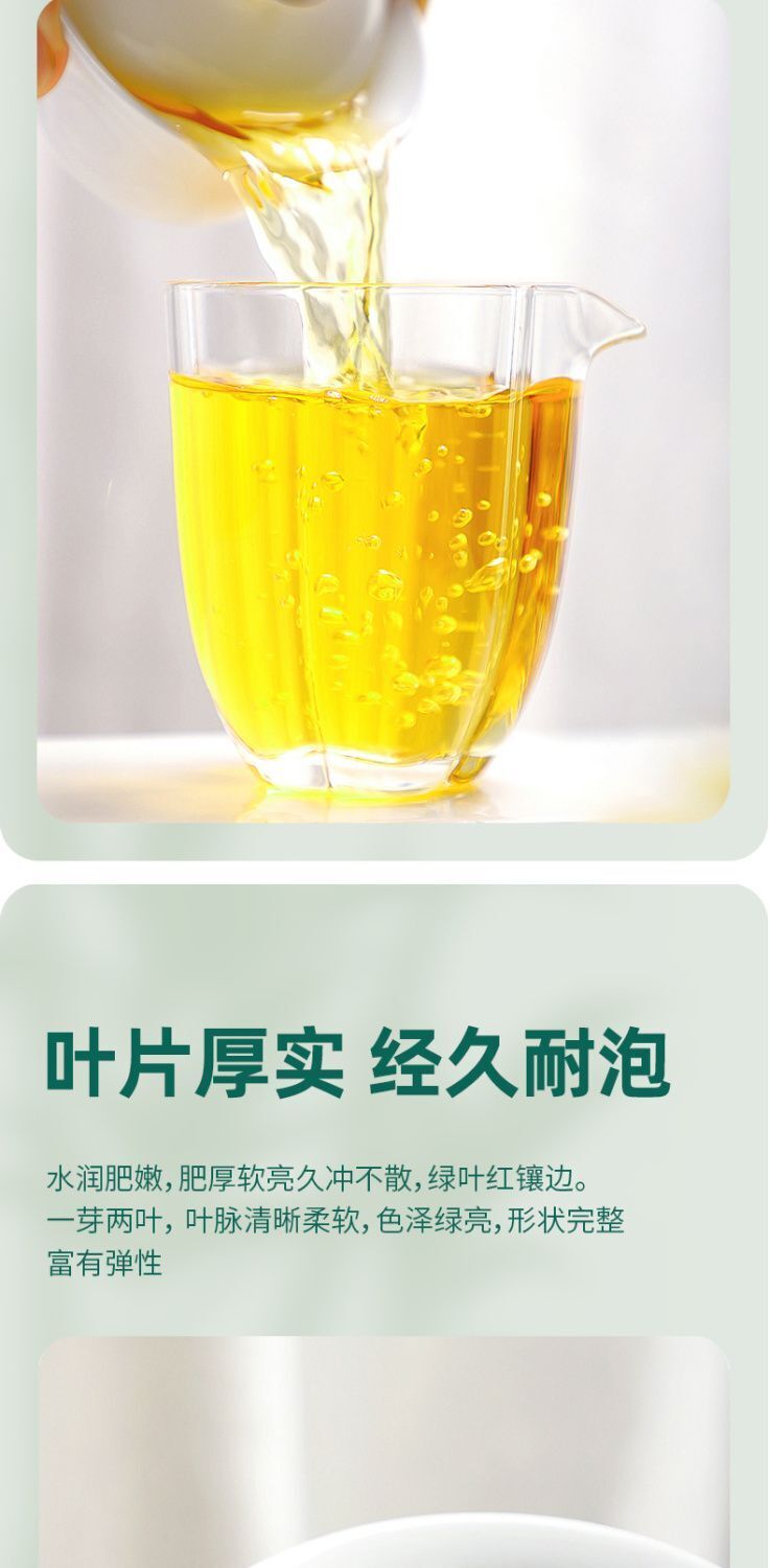 Oolong Tea Dayuling Frozen Top Oolong Alishan Lishan New Tea 75g