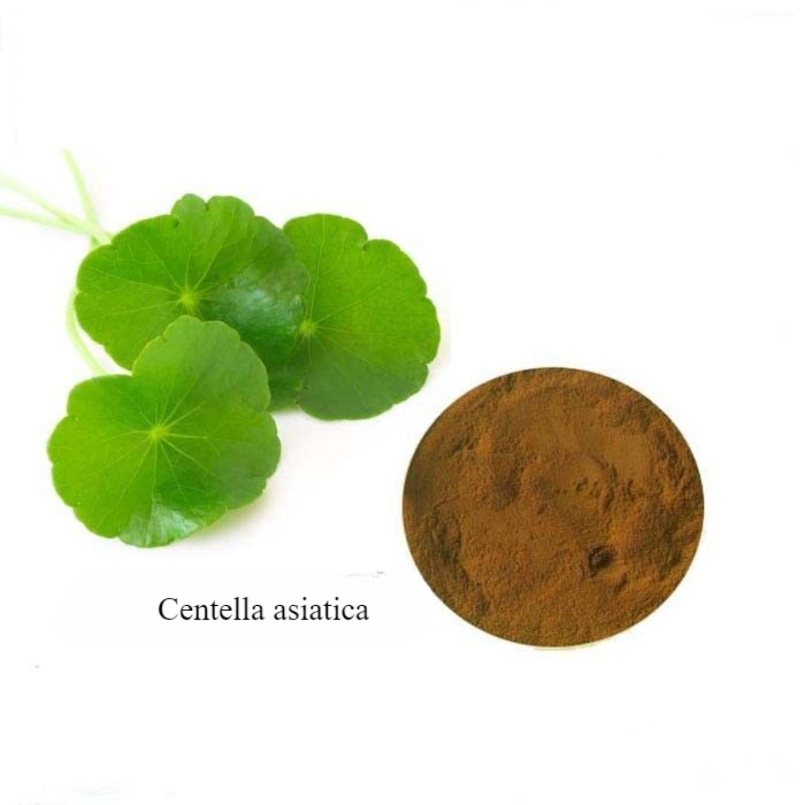 Great Value 440g Gotu Kola Extract 10:1 Powder, Pure Herb, Centella Asiatica Main image