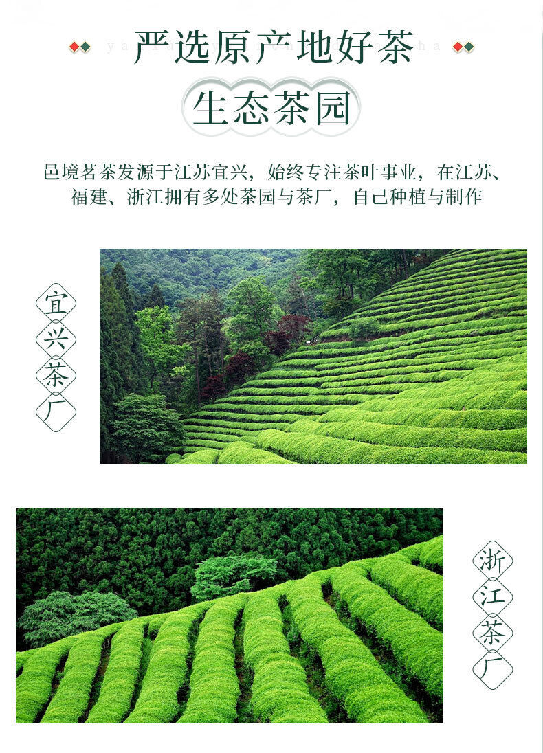 Organic Green Tea Yuhua High Quality Tea Exquisite Gift Box 96g