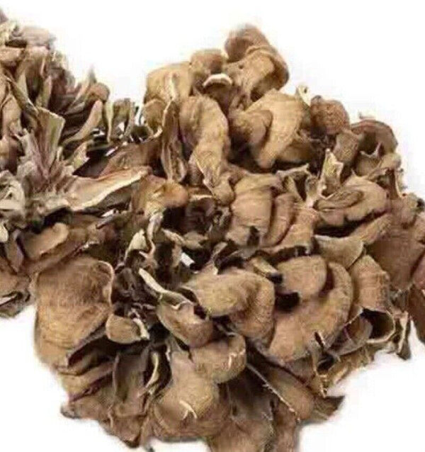 500g Natürliche getrocknete Maitake Nahrungsergänzungsmittel Grifola Frondosa