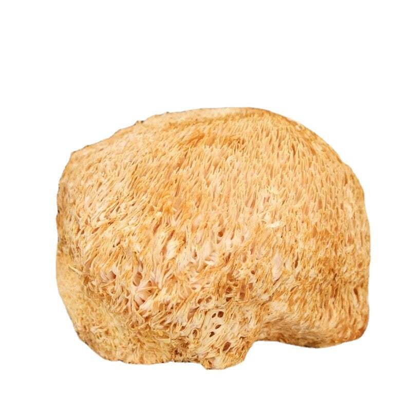 100% Bio Getrocknete Löwenmähne Pilz 500g – Natürliche Kräuter, Hochwertig Secondary image