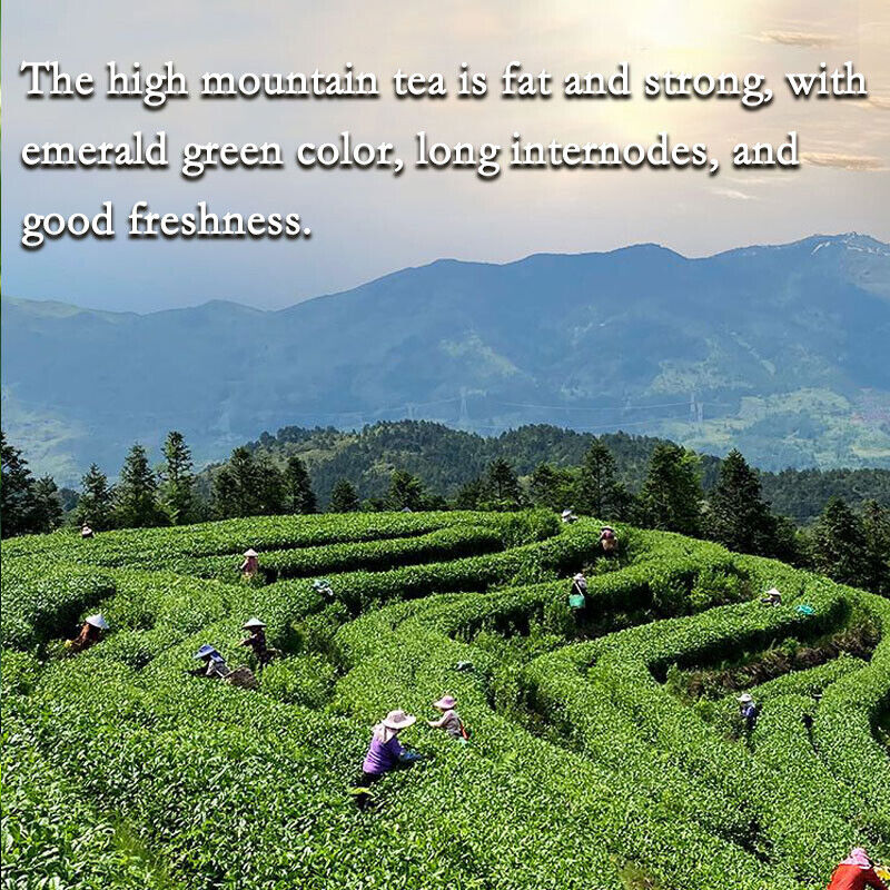 Milk Oolong Premium Tea - Milk Oolong Tea 250g Natural Tea, Chinese Tea