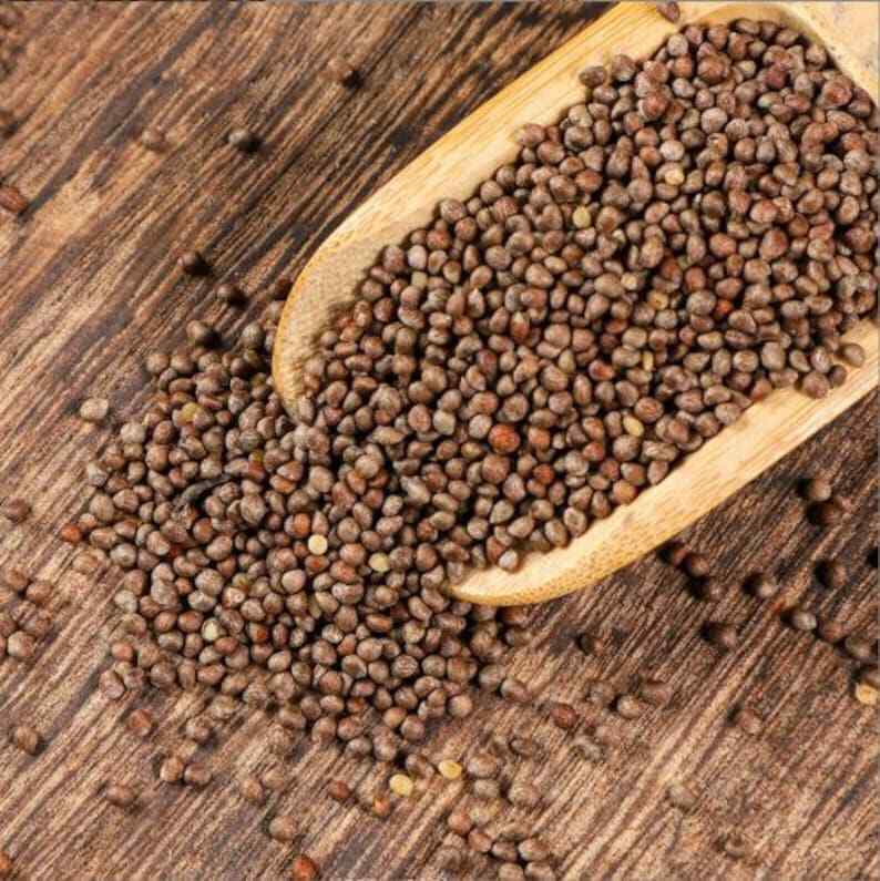 250g Dried Purple Perilla | Perilla Frutescens | Fructus Perilla seed | Zi Su Secondary image