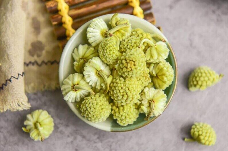 Dried Green Flower Scindapsus Aureus Edgeworthia Chrysantha Makes A Healthy Tea